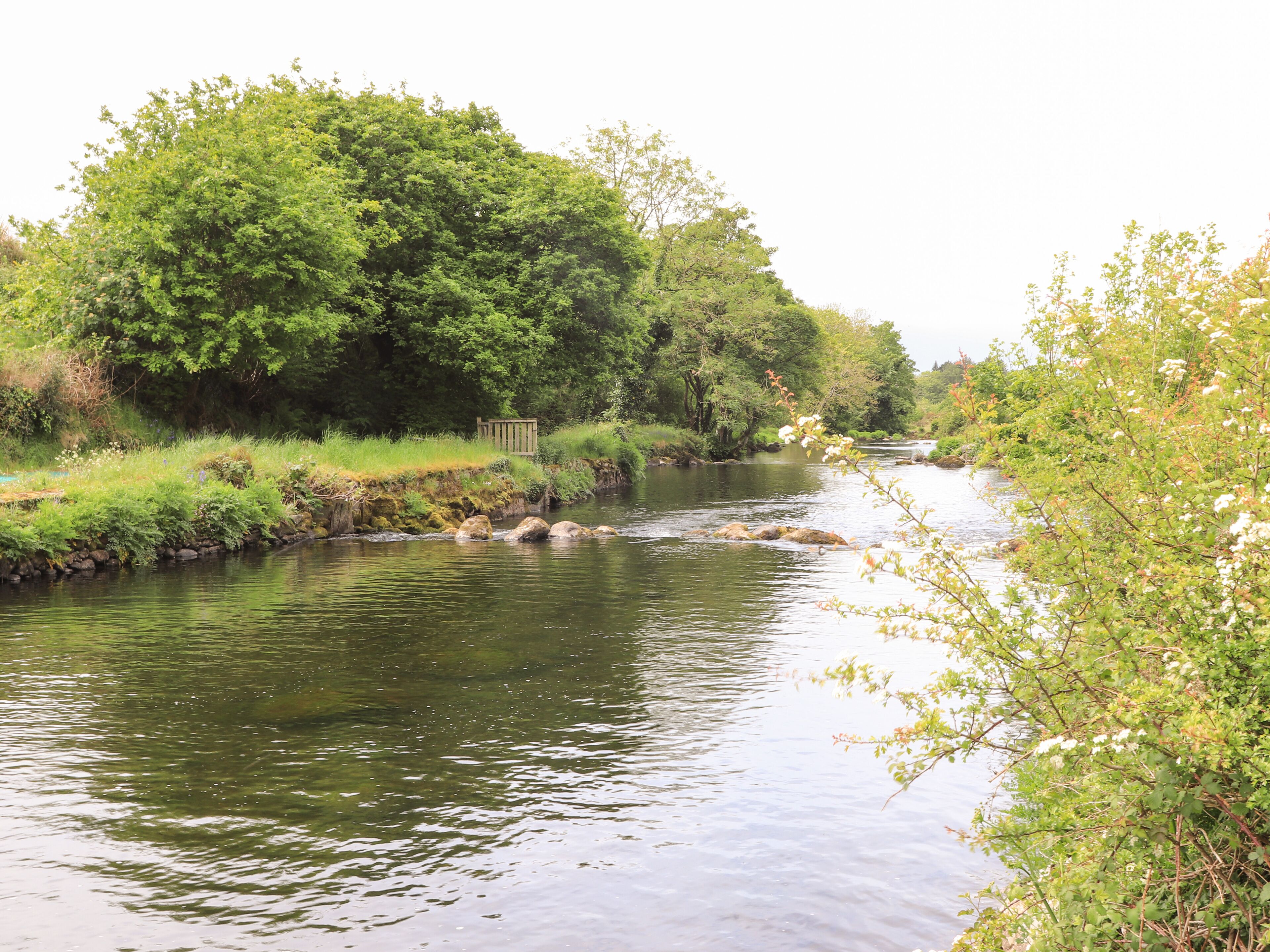 Ein ruhiger Fluss mit Felsen und üppigem Grün an beiden Ufern.