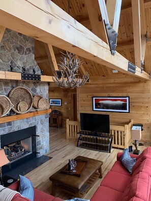 Smart TV, chimenea, reproductor de DVD y libros