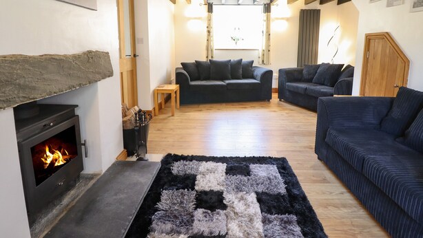 A cozy living room with a fireplace, two sofas, a rug, and a stone shelf. - Tan Y Capel (Llanbrynmair)