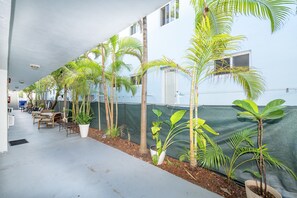 Un espace extérieur abrité, aménagé avec des sièges et des plantes en pot.