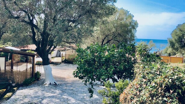 A covered outdoor area with a gravel path, surrounded by trees and shrubs. - Blue Med Smurf, Palinuro, Cilento (Palinuro)