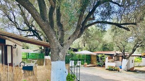 A tree with a white-painted trunk in a courtyard with a rustic building, outdoor seating, and a gravel path. - Blue Med Smurf, Palinuro, Cilento (Palinuro)