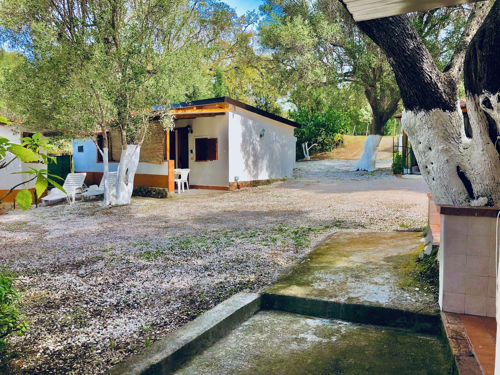 Un petit bâtiment d’un seul étage, avec une allée en gravier et un petit élément décoratif aquatique en premier plan.