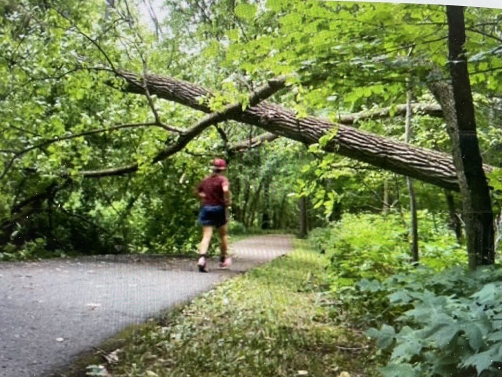 Een persoon loopt over een verhard pad in een bebost gebied.