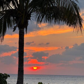 Exterior - Estudio Cozumel A3 (Cozumel)