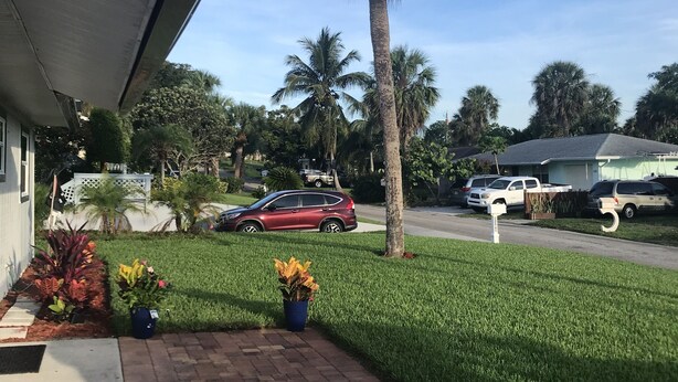 Un camino de entrada residencial con un coche rojo estacionado en la calle, una palmera alta y un césped bien cuidado.
