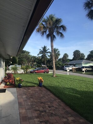 A residential driveway with a red car parked on the street, a tall palm tree, and a well-maintained lawn.