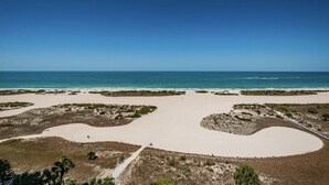 A beach with a clear sky, sandy areas, and sparse vegetation.