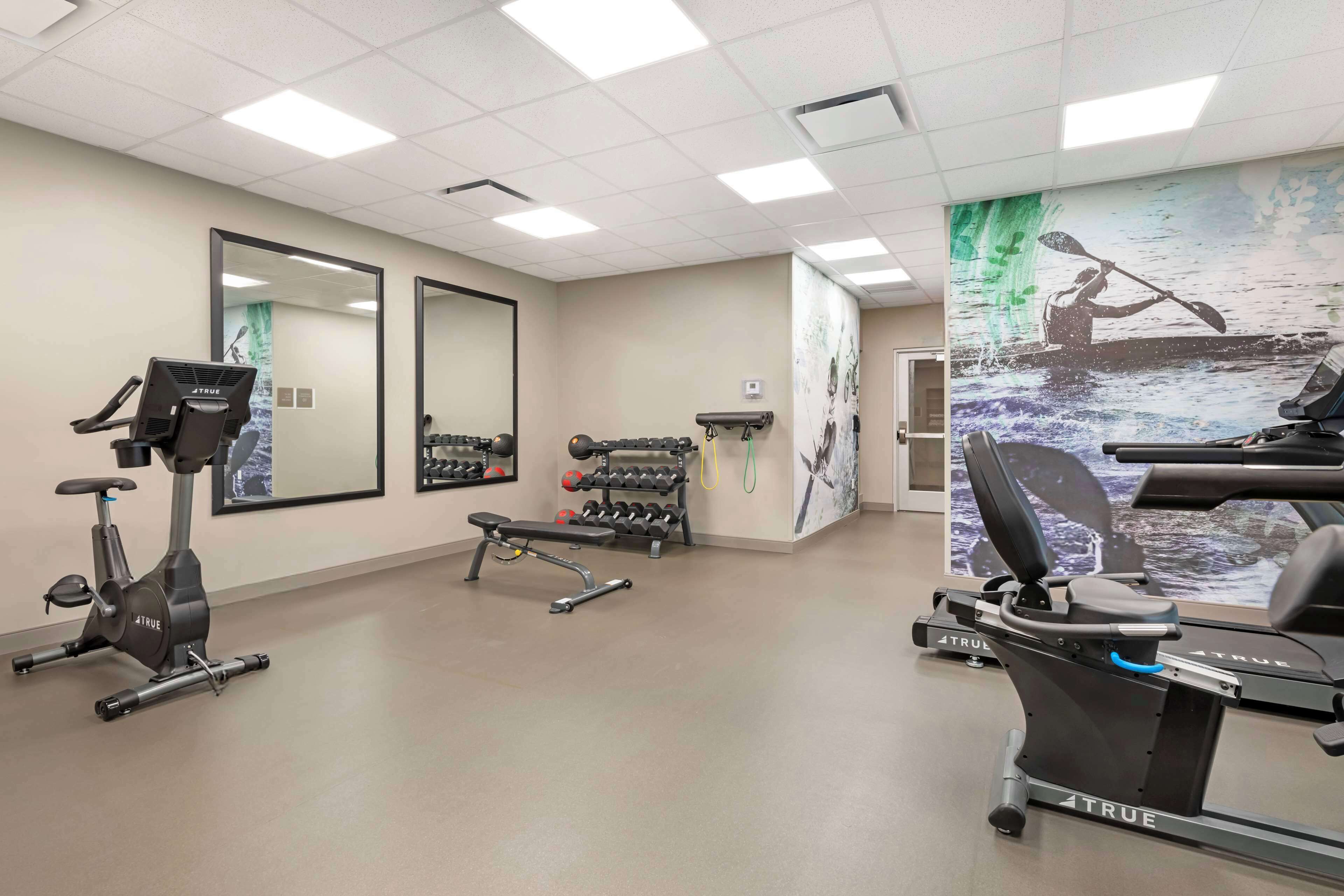 Een sportschool met trainingsapparatuur, spiegels en een muurschildering.