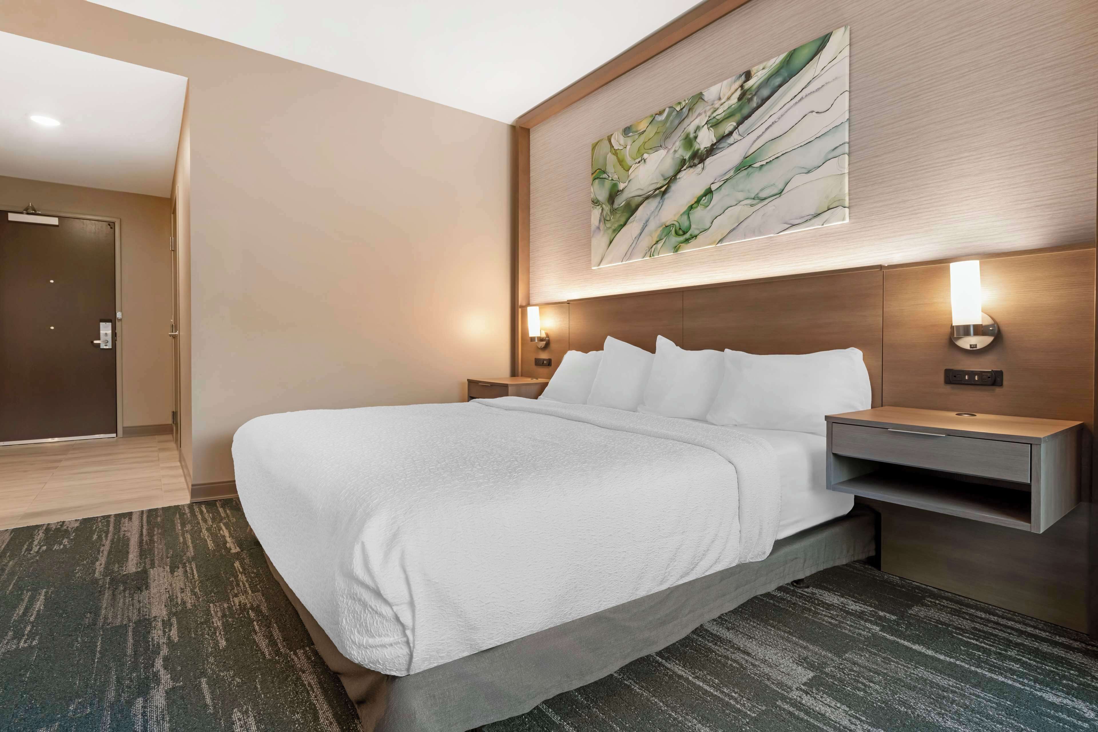 A hotel room with a large bed, a nightstand with a lamp, a wall-mounted artwork, and a carpeted floor.