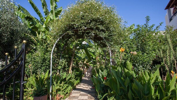 A garden pathway with a checkered pattern leading to a covered area, surrounded by various plants and a metal gate. - Bali Dorian Apartments (Mylopotamos)