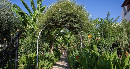 Bali Dorian Apartments