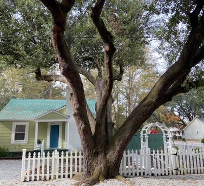 Sweet Tea Cottage- Aiken Downtown Location