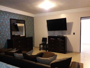 Fernseher