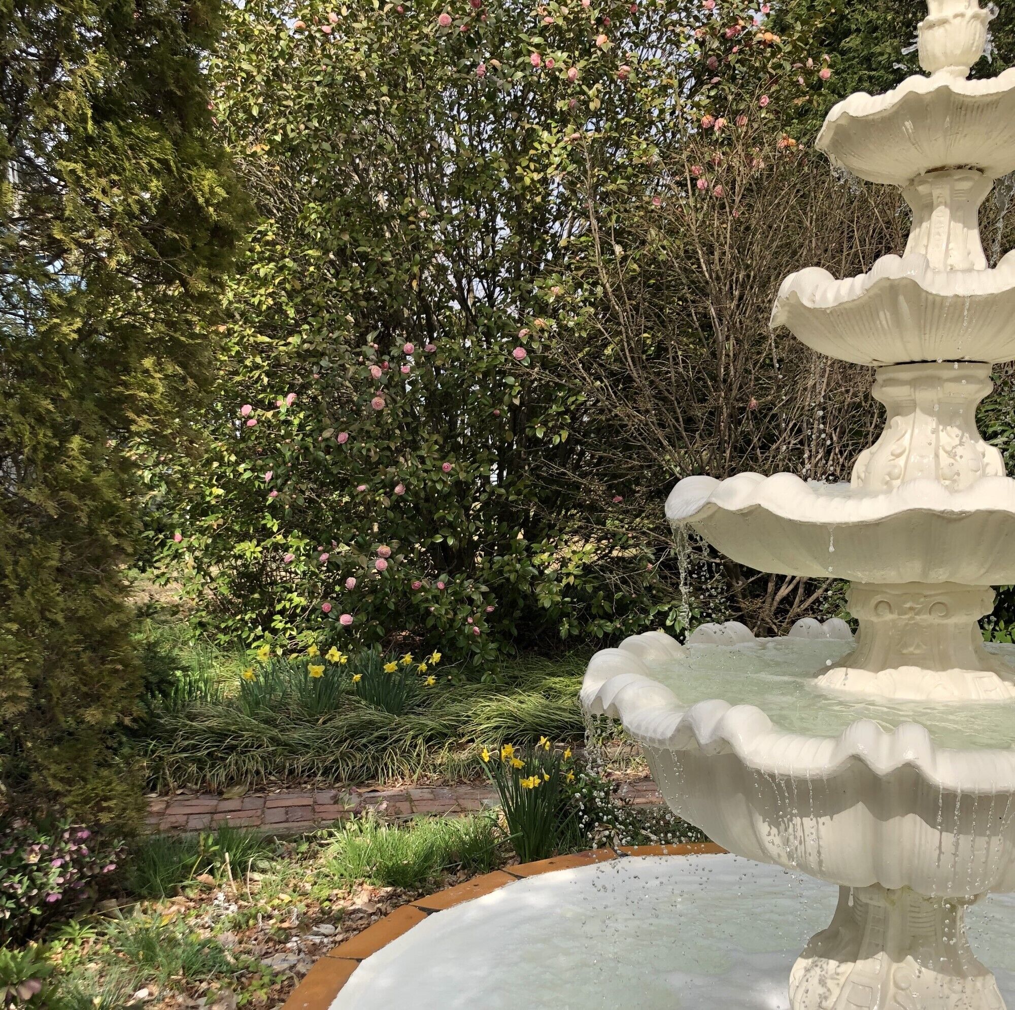 A tiered stone fountain surrounded by lush greenery and flowering bushes.
