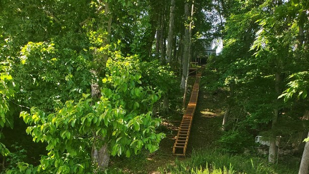 A wooden boardwalk leading to a wooden staircase surrounded by lush greenery and a large tree trunk.