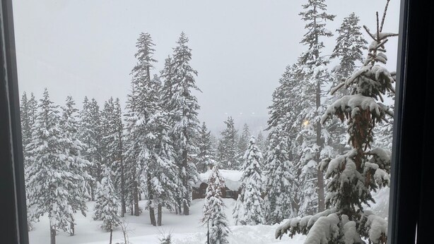 A snowy landscape with a swimming pool surrounded by snow-covered trees. - Cozy & Pet friendly Studio at Monache Resort in Village (Mammoth Lakes)