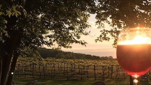 Un vignoble avec des rangées de vignes, un verre de vin rouge et des tables à l’extérieur.
