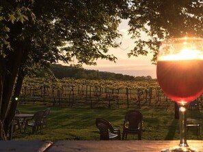 Outdoor dining - Winter Escape, Close to Ski + Indoor Pool (Galena)