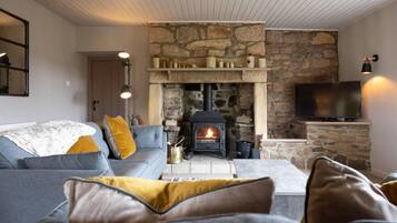 Cottage | Living room | Fireplace