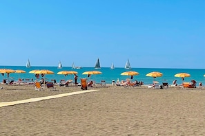 A beach with rows of sun umbrellas and beach chairs, a sandy path, and sailboats in the water.