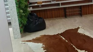 Sala de estar con un televisor montado, alfombra de cuero de vaca, sillón de plumas y un adorno verde en la pared.