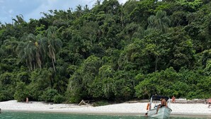 Un grupo de personas en un bote con cubierta azul, rodeado de agua cristalina y una playa de arena blanca con abundante vegetación al fondo.