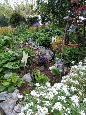A garden with various plants and flowers, including white and purple blooms, and several solar-powered garden lights.