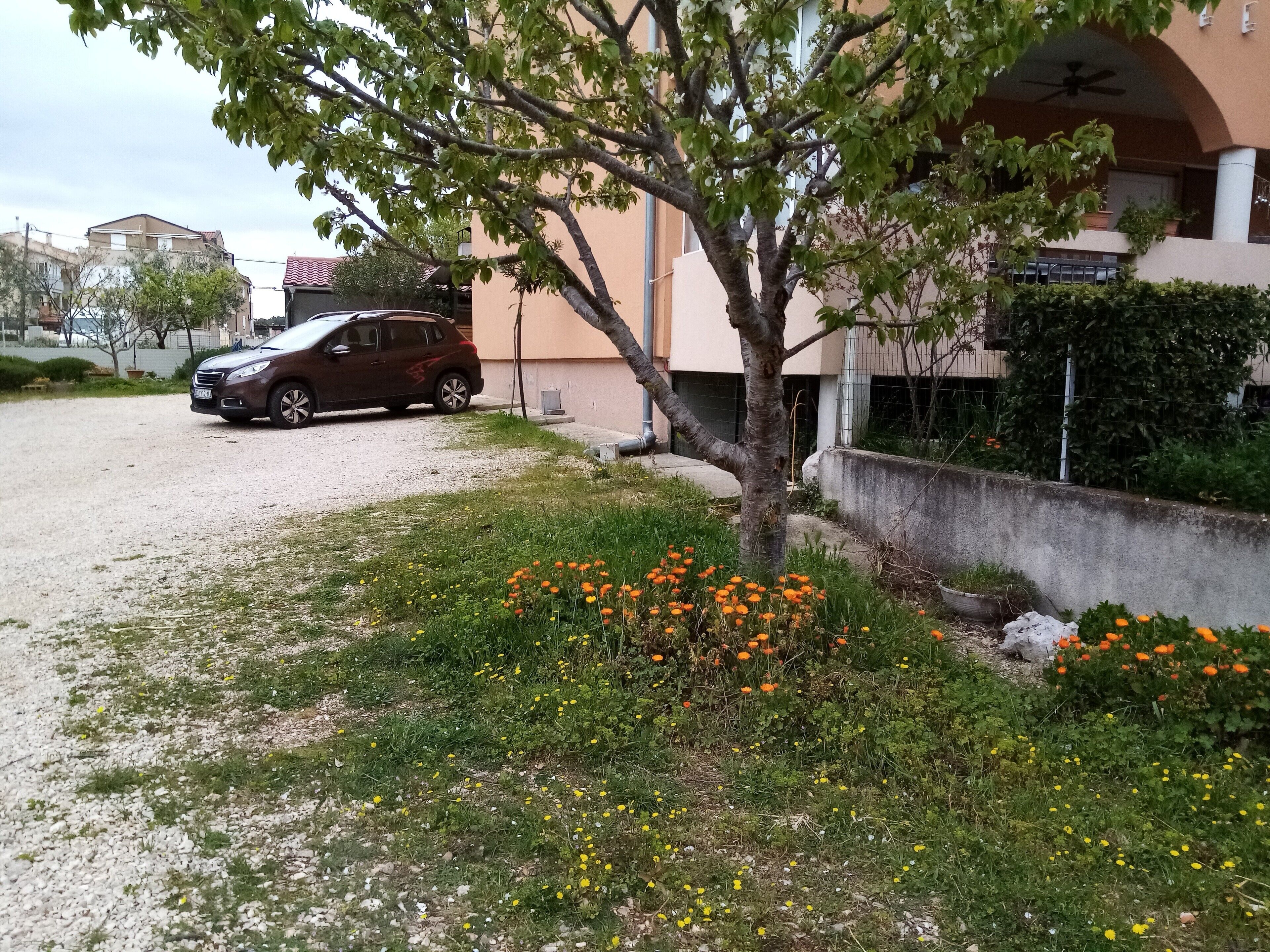 A building with a tree in front, a parked car, and a gravel driveway.