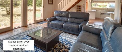 Fernseher, Kamin, Bücher, Musikbibliothek