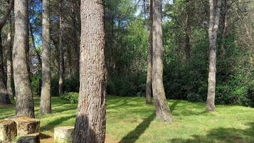 Terrein van de accommodatie