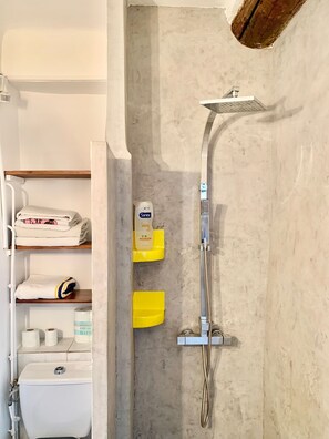 Dusche, Handtücher, Seife, Toilettenpapier