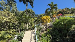 Una escalera de hormigón rodeada de exuberante vegetación y árboles.