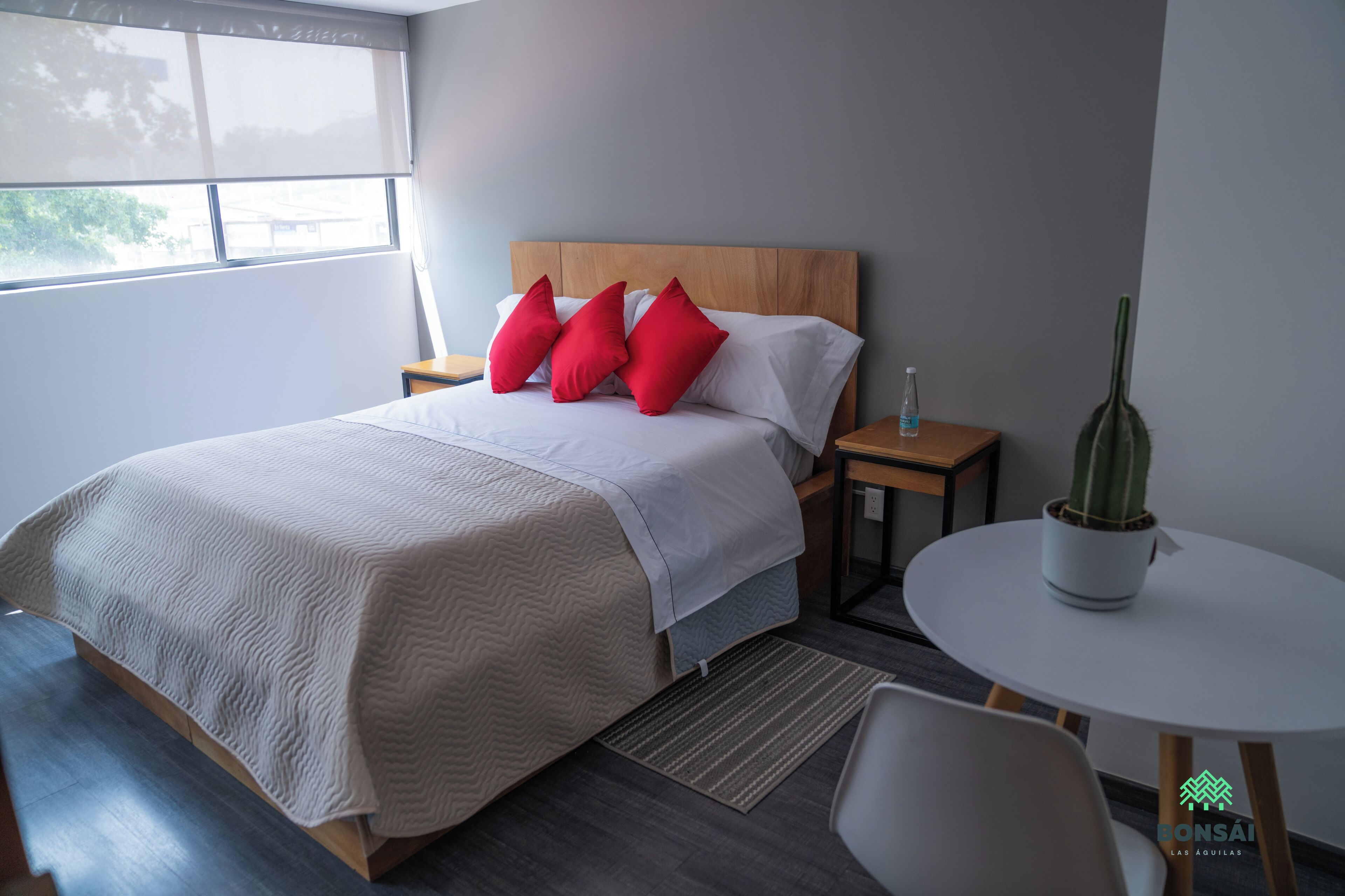 Premium Room, Mixed Dorm | Bathroom | Shower, towels