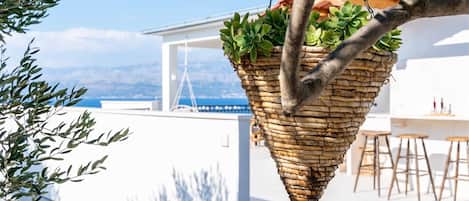 A hanging planter with green plants on a balcony with a view of the sea.