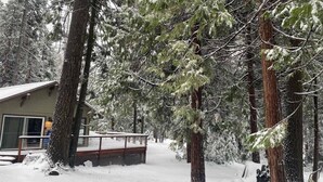 A cabin surrounded by tall evergreen trees in a snowy forest. - Mystic Meadow ~ Sweet Cabin + Meadow Views (Shaver Lake)