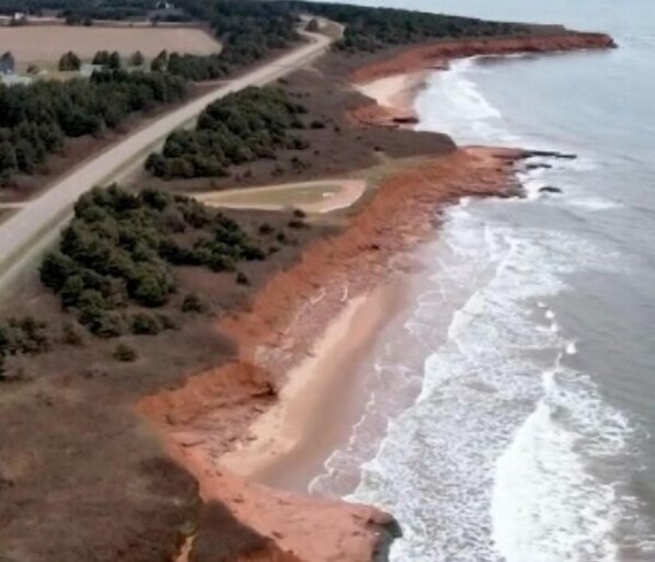 Ranta lähistöllä, rantapyyhkeitä