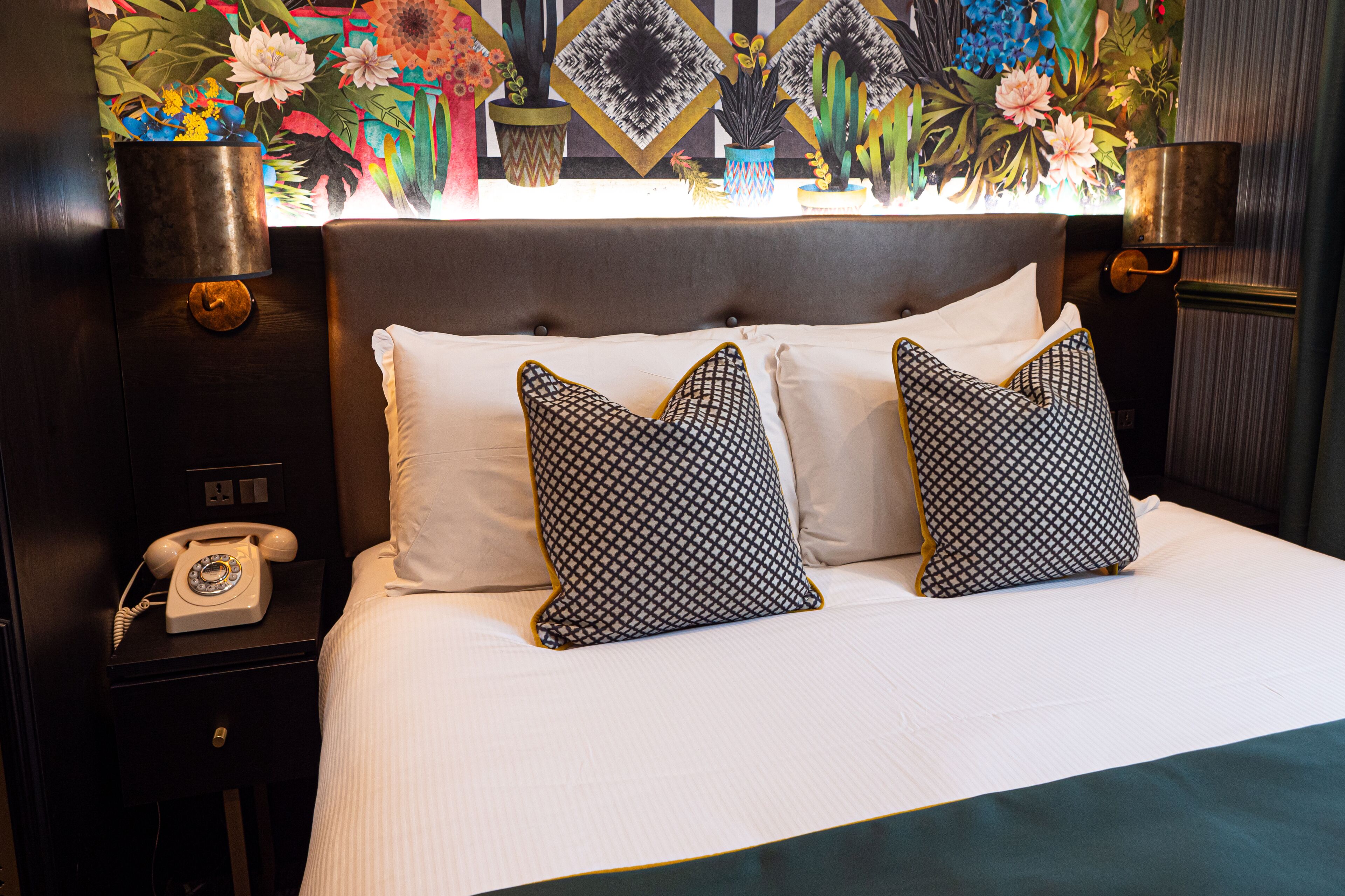 Foto - Hyde Park Green