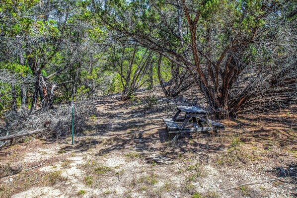 A picnic table in a forested area with a dirt path.