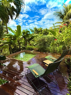 Outdoor pool - Habitation Caféière Samana Beauséjour (Pointe-Noire)