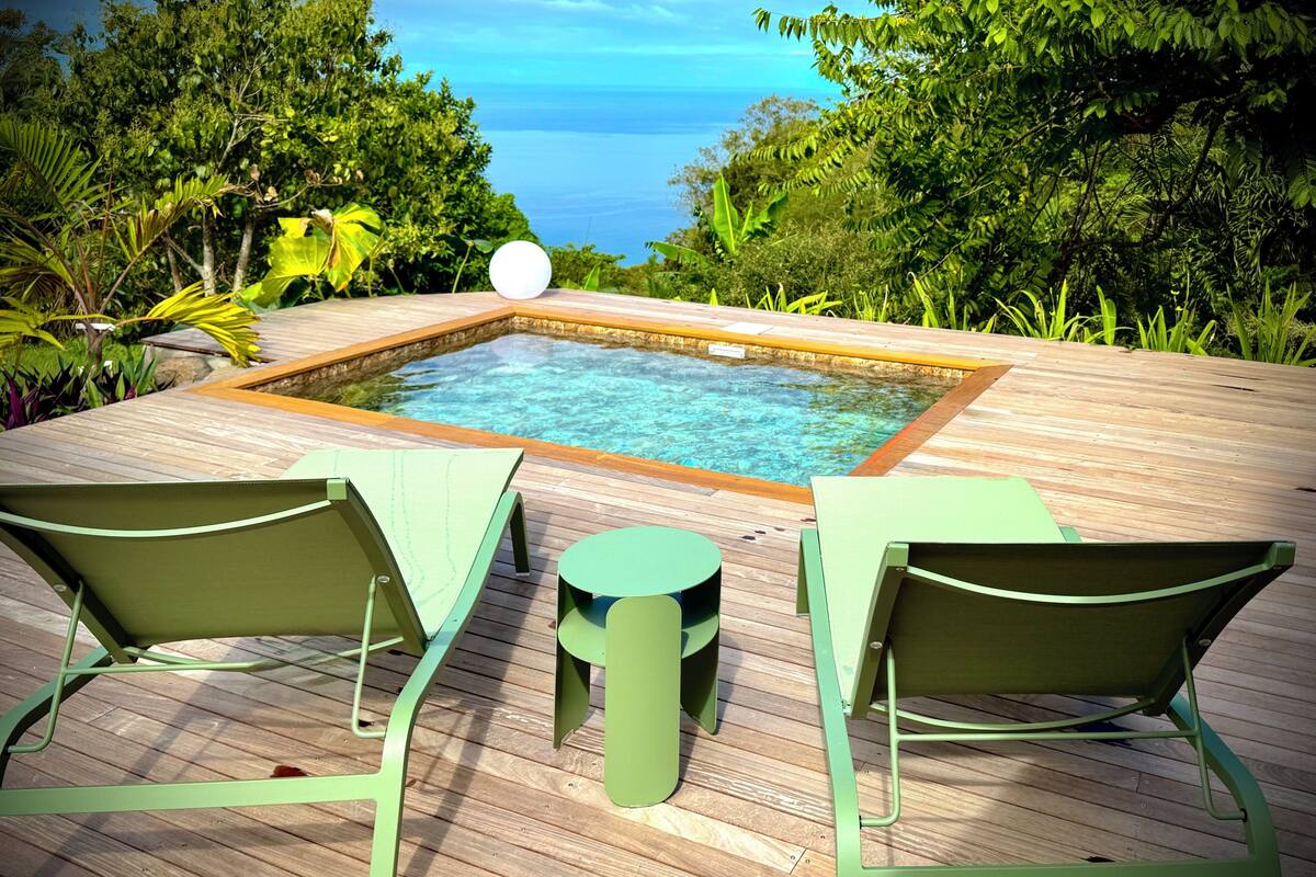 Villa Deluxe, accesible para personas con discapacidad, baño privado (CLEF VERTE) | Piscina privada
