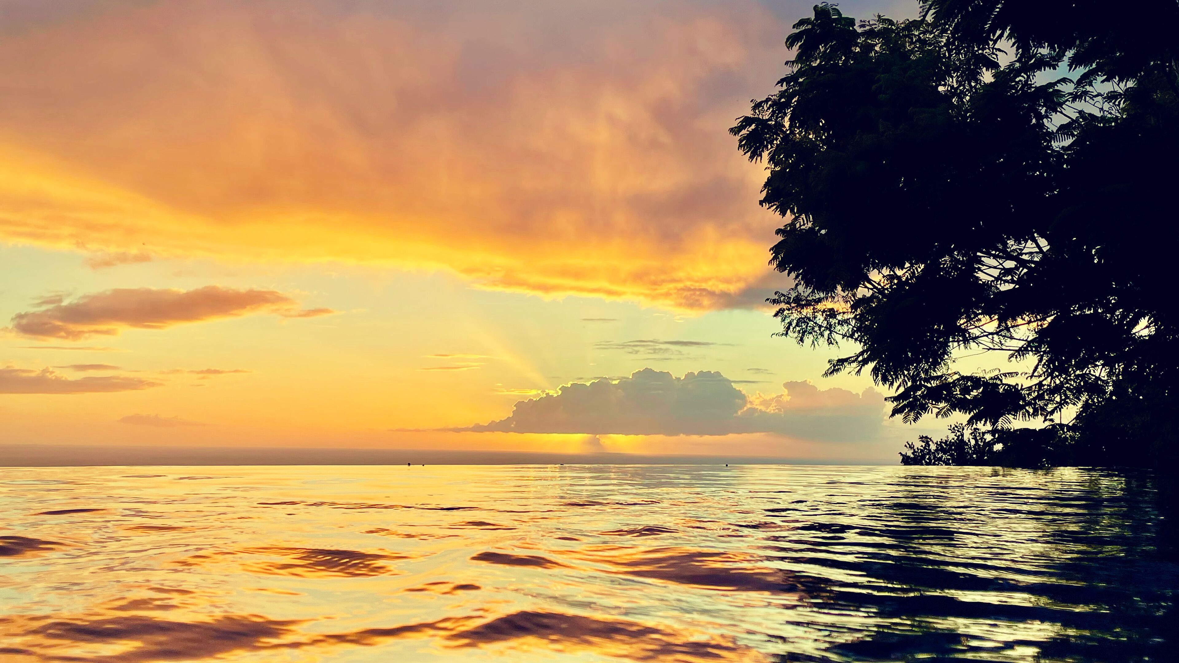 2 من حمّامات السباحة الخارجية، مقاعد للتشمس