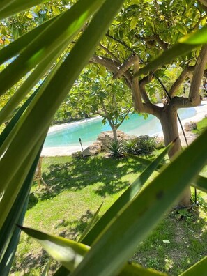 A tree-lined view of a beach with clear water and a grassy area. - The First Flower (Noto)