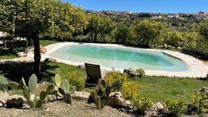 A swimming pool with a chair, surrounded by cacti and a tree, with a view of buildings in the background. - The First Flower (Noto)