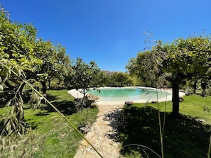 Vista despejada de una piscina rodeada de abundante vegetación y árboles.