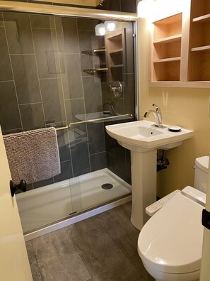 Regadera, secadora de cabello, bidet, toallas 