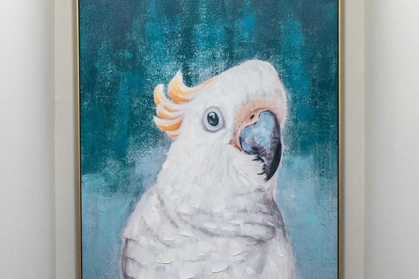 Say hello to Jake the Parrot!