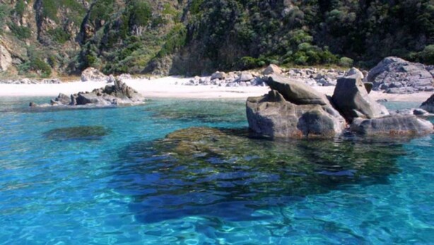 Clear blue water with rocks and a beach in the background.