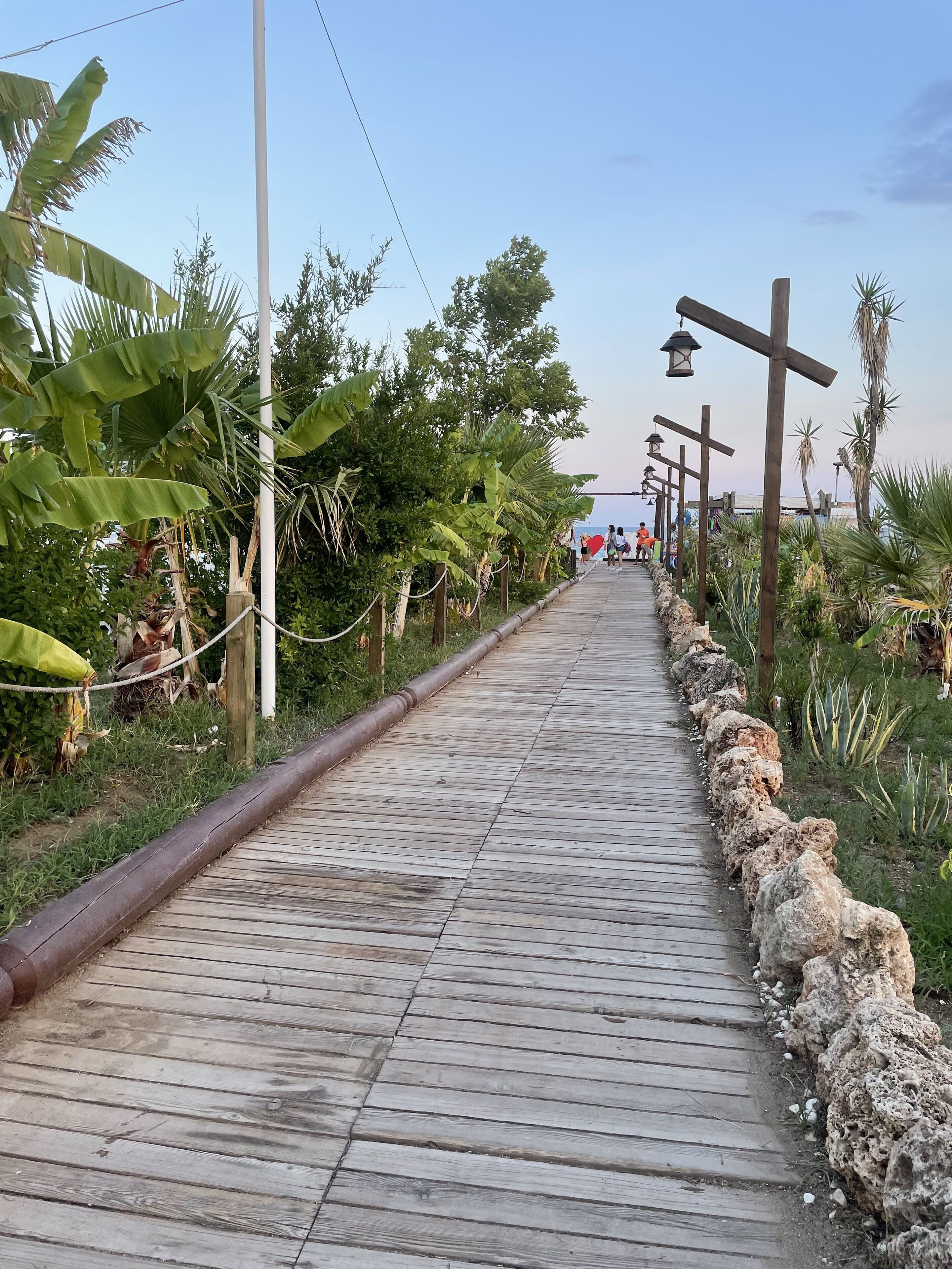 A wooden pathway lined with rocks and tropical plants, leading to a distant view.