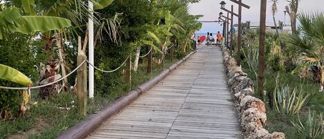 A wooden pathway lined with rocks and tropical plants, leading to a distant view.